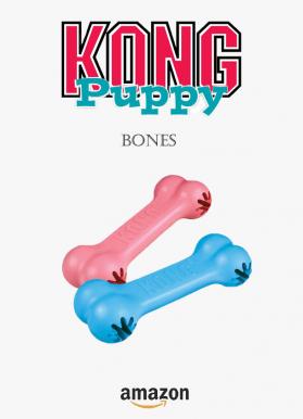 Kong puppy bones