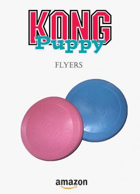 Kong puppy flyers 1