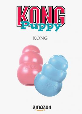 Kong puppy