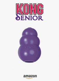 Kong senior 1