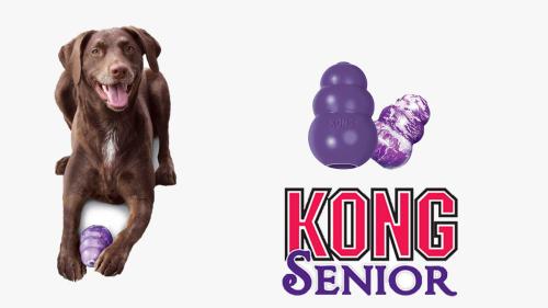 Kong senior