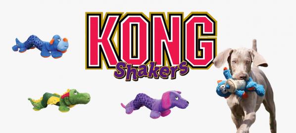 Kong shakers1