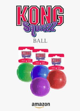 Kong squeezz ball