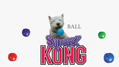 Kong squeezz ball