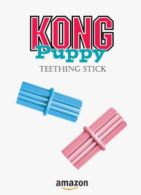 Kong teething stick
