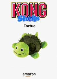 Kong tortue