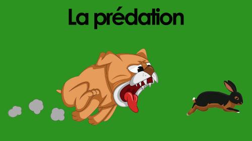 La predation