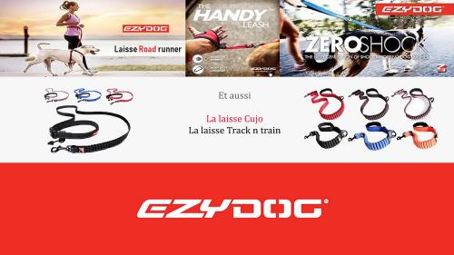 Laisses ezydog