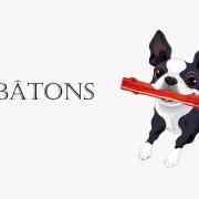 Les batons