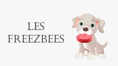 Les freezbees