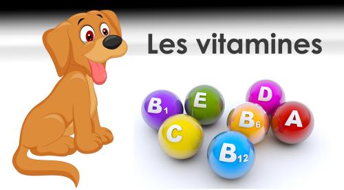 Les vitamines