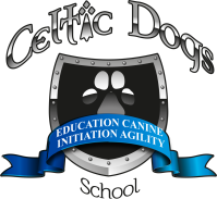 Logo celtic dogs