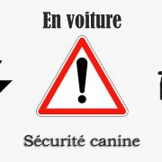 Logo securite auto