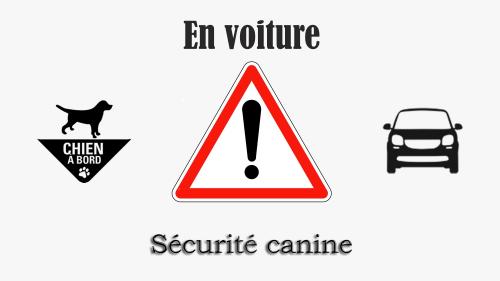 Logo securite auto