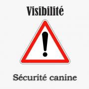 Logo securite