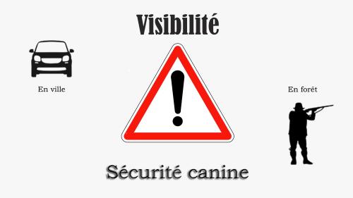 Logo securite