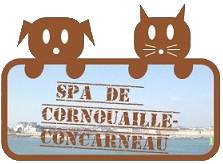 Logo spa vectoriel