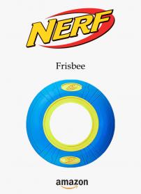 Nerf10