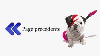 Page precedente