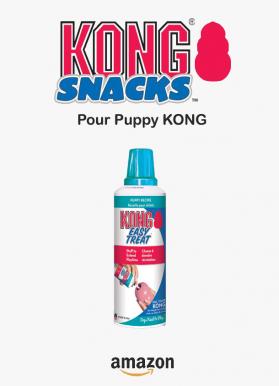 Pate puppy kong