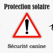 Protection solaire