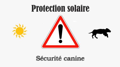 Protection solaire