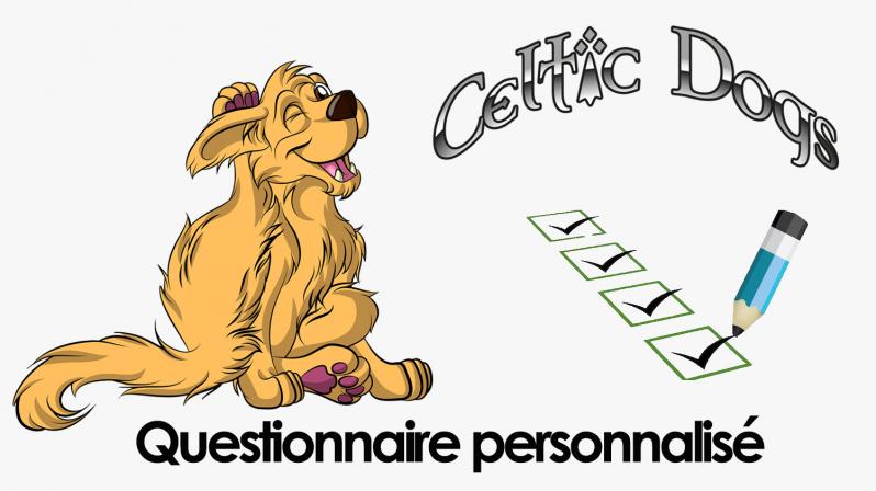 Questionnaire personnalise