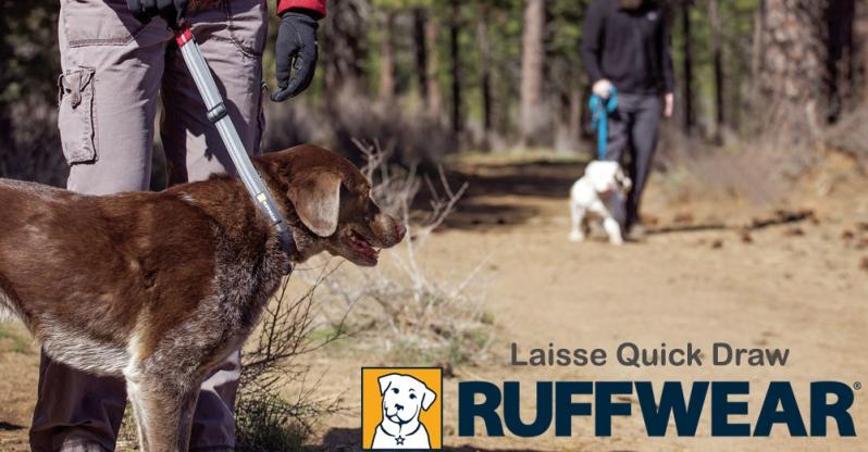 Ruffwear quick draw leash