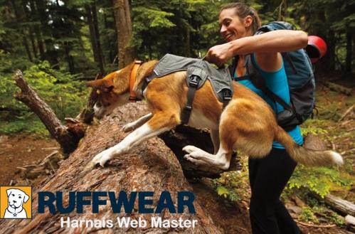 Ruffwear web master harness