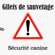 Securite gilet