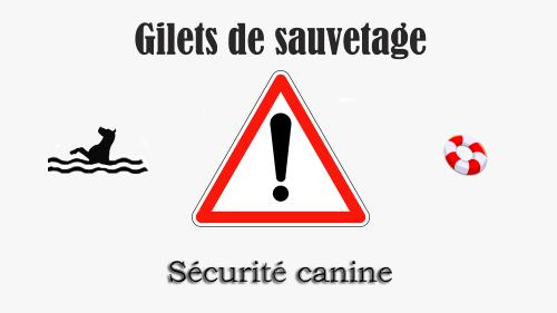 Securite gilet