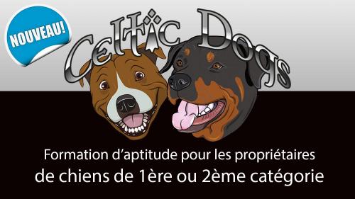 FORMATION CHIEN CAT