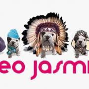 Teo jasmin 2