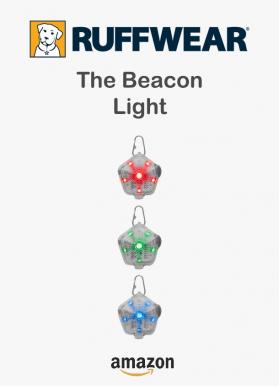 The beacon light 1