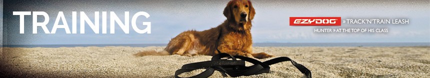 Training dogs category page