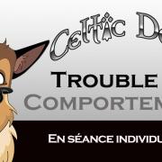 Troubles du comportement 2