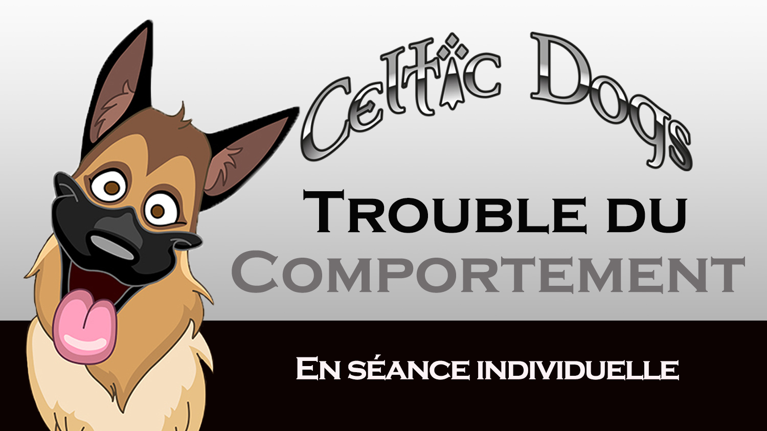 Troubles du comportement