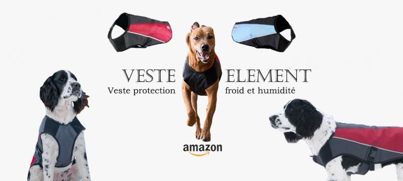 Veste ezydog