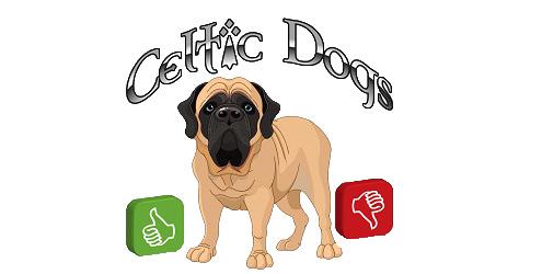 Votre avis celtic dogs1
