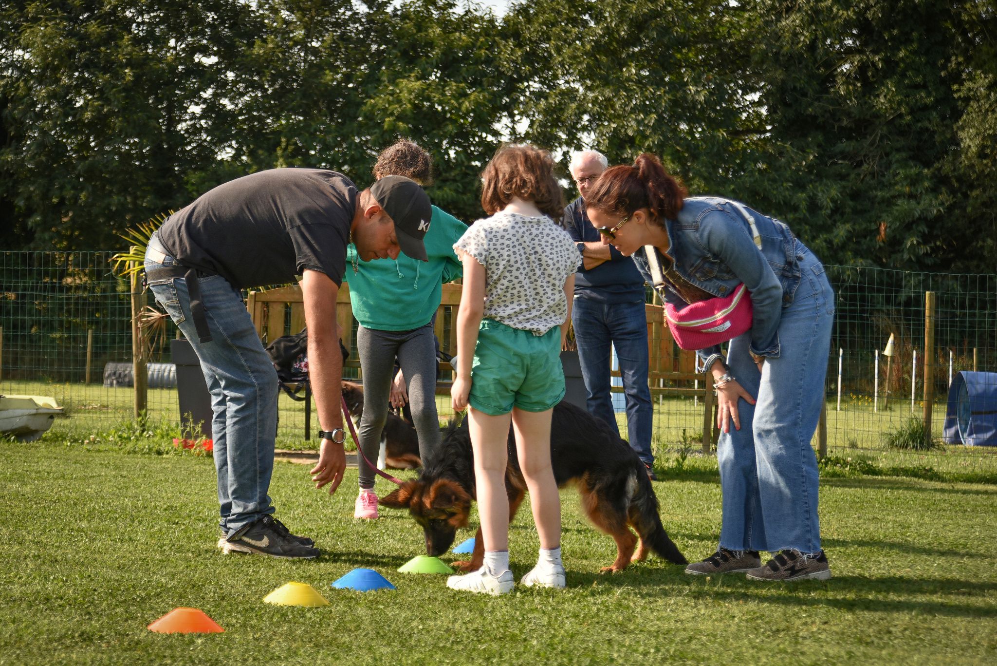 Celtic dogs Education Canine